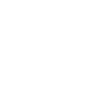 PROJEKTPORGANISATION UND PROJEKTSTEUERUNG